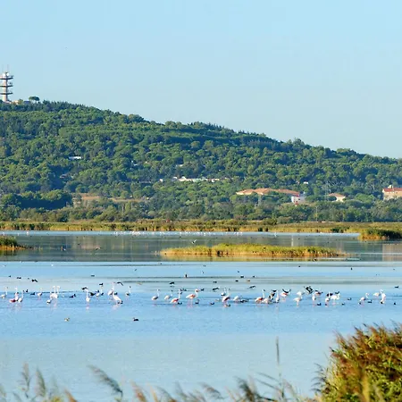 Rochelongue By Interhome בית נופש אגדה